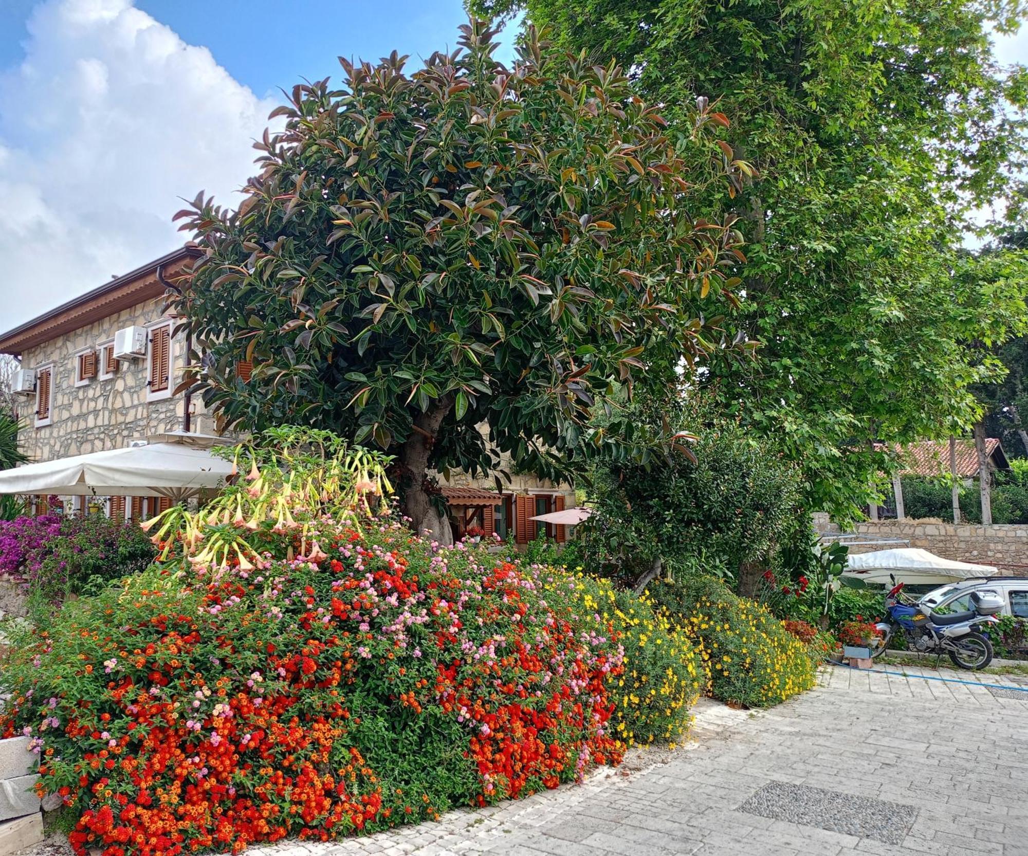 Yuekser Pansiyon Side Exterior foto