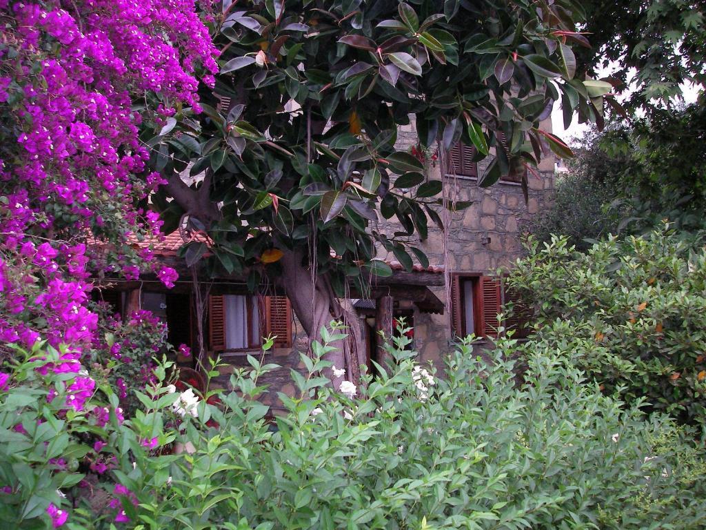 Yuekser Pansiyon Side Exterior foto